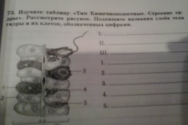 Кракен сайт даркнет ссылка