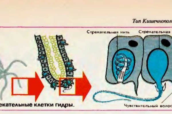 Как восстановить аккаунт кракен