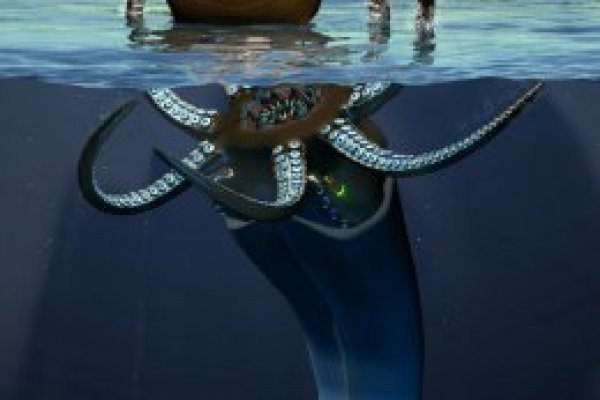 Kraken ссылка kraken clear com