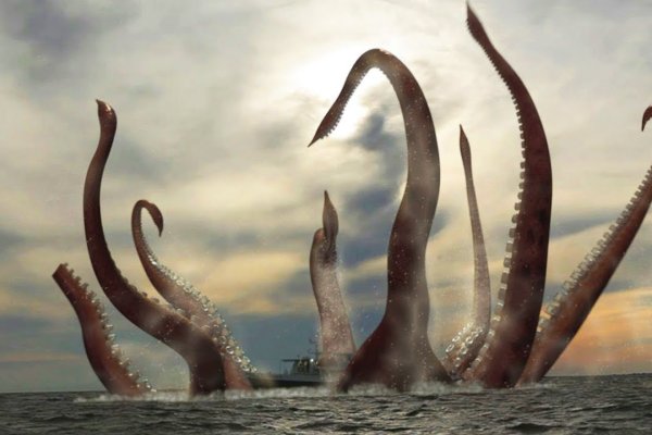 Www kraken 20at net